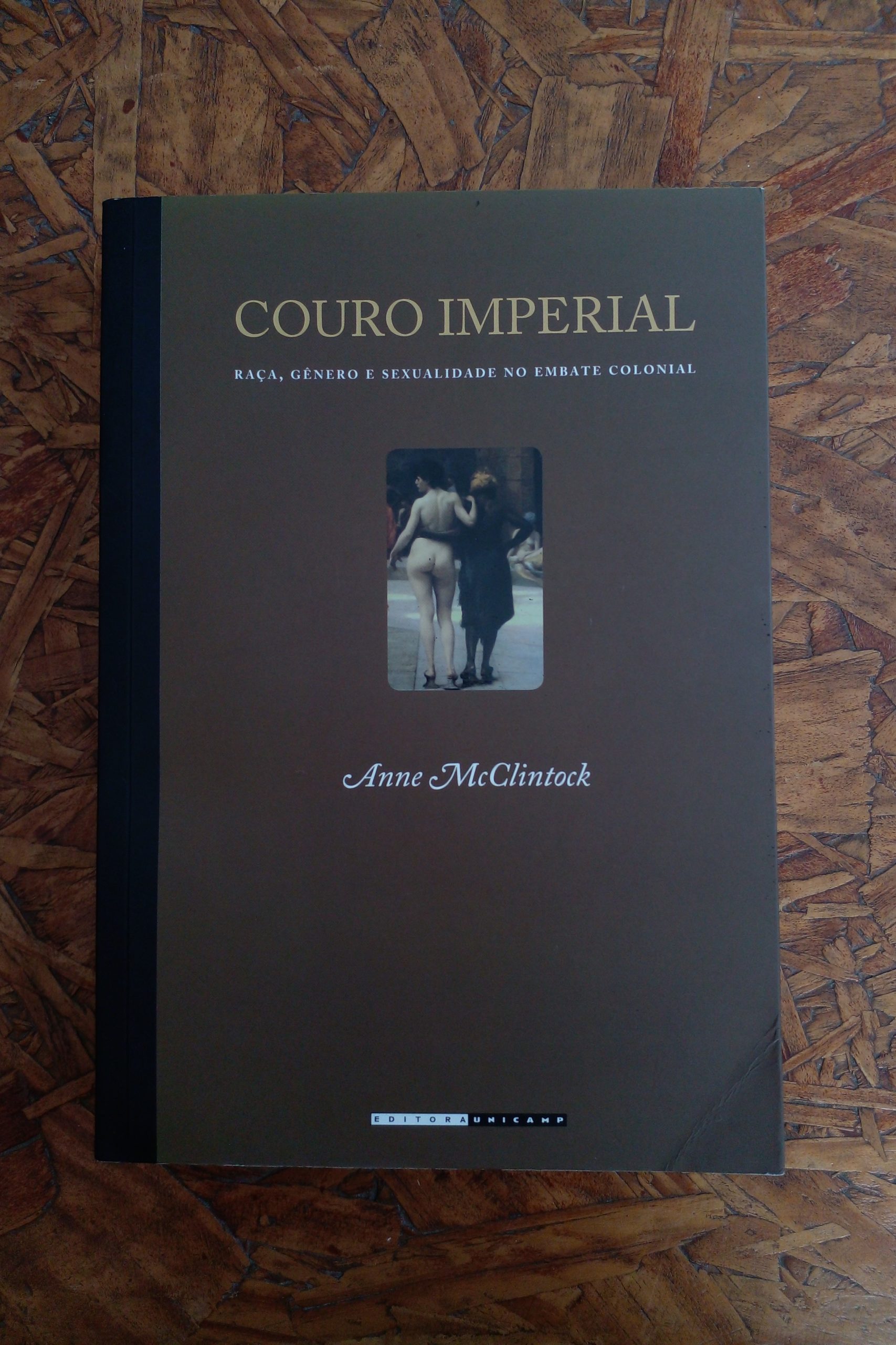 PDF) ANNE McCLINTOCK - COURO IMPERIAL: RAÇA, GÊNERO E SEXUALIDADE NO EMBATE  COLONIAL